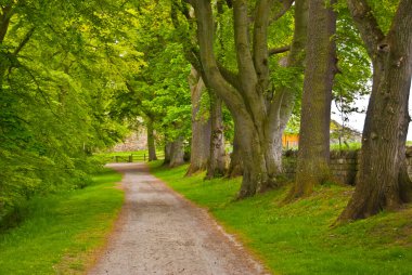 Schotse landschap