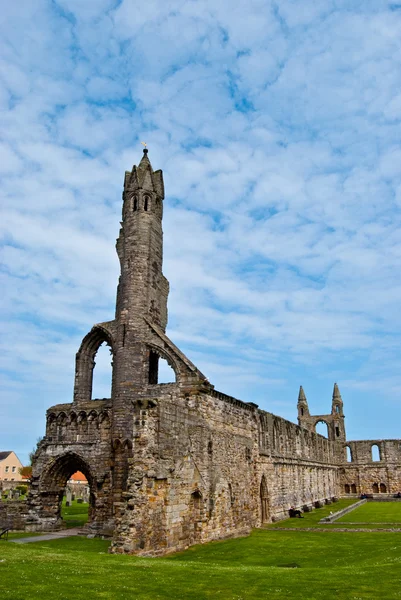 St Andrews cathedral — Stock Photo, Image