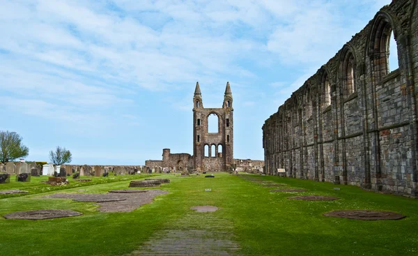 Cathédrale de St Andrews — Photo