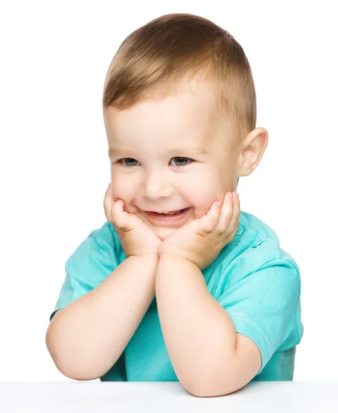 Portrait of a cute cheerful little boy Stock Image