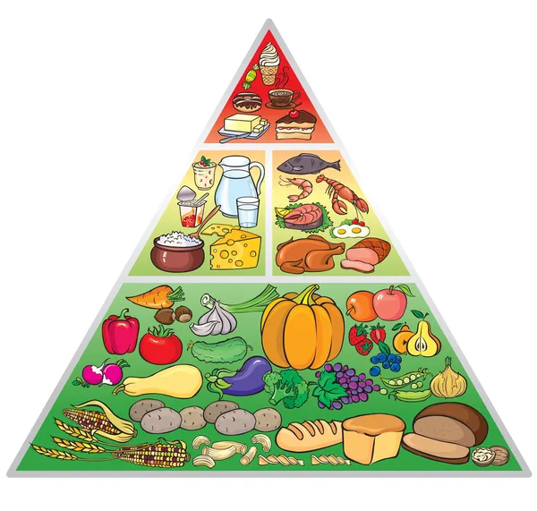 Lebensmittelpyramide — Stockvektor