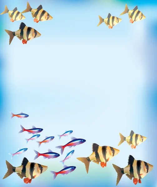 Aquarium fond — Image vectorielle