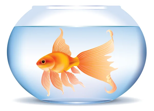 Zlaté rybky v akváriu — Stockový vektor