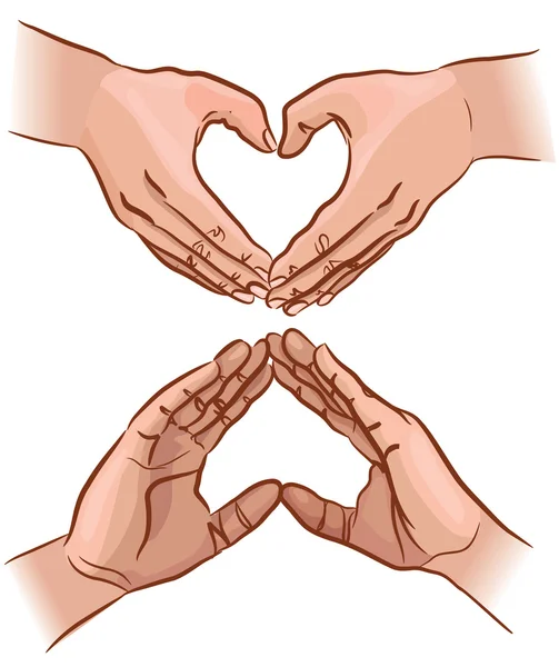 stock vector Hands show the shape of the heart