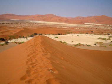 dune crest adlı