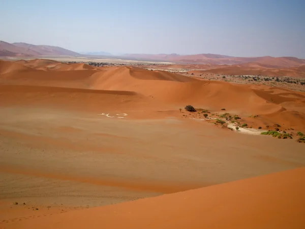 çöl dunes