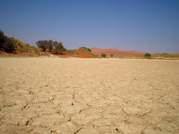 Kuru lakebed