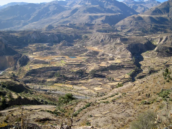 Тераси і підвісні сади Peru Ліцензійні Стокові Зображення