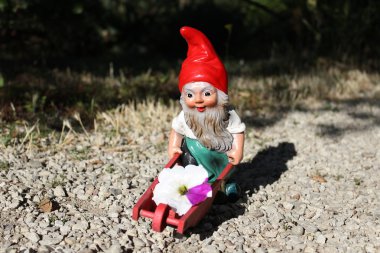 Garden gnome with wheelbarrow clipart