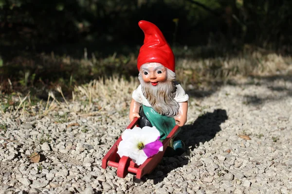 Gnome de jardim com carrinho de mão — Fotografia de Stock