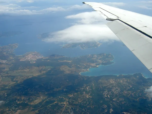 stock image On the wing