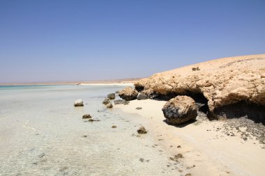 Güneş mercan beach