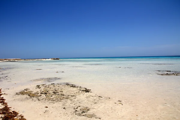 夏季在红海埃及 — 图库照片