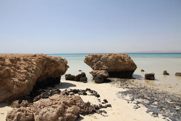 stock image Sunny beach and coral rocks