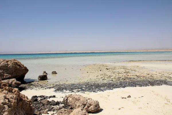 stock image Sunny coral beach