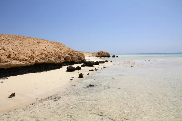 stock image Sunny coral beach