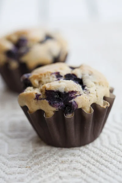 Muffins de arándanos —  Fotos de Stock
