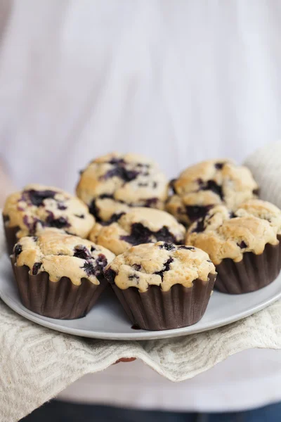 Muffins de arándanos —  Fotos de Stock