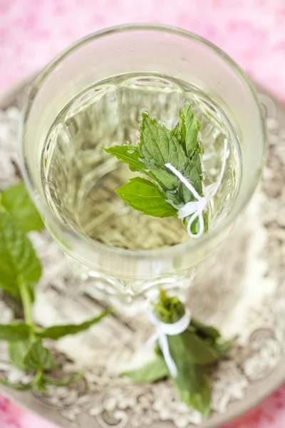 stock image Mint tea