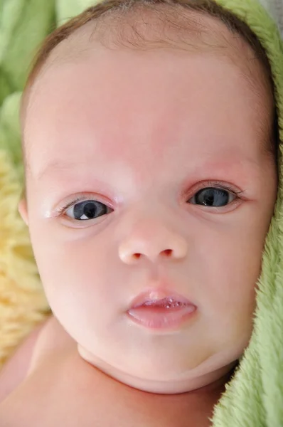 Portrait of cute bayi perempuan yang baru lahir pada latar belakang putih — Stok Foto