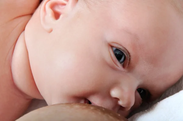 Moeder borstvoeding haar zuigeling — Stockfoto
