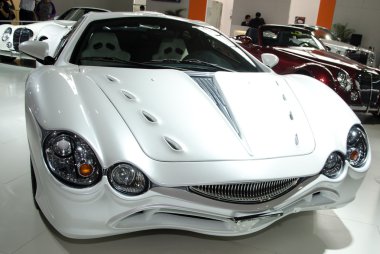 ekranda Mitsuoka orochi araba