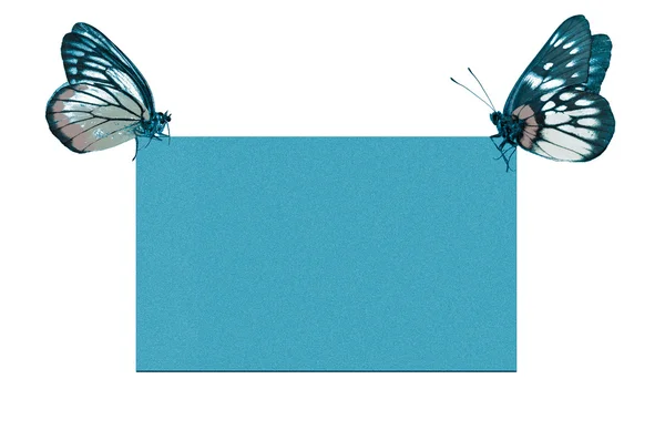 Kelebek boş poster — Stok fotoğraf