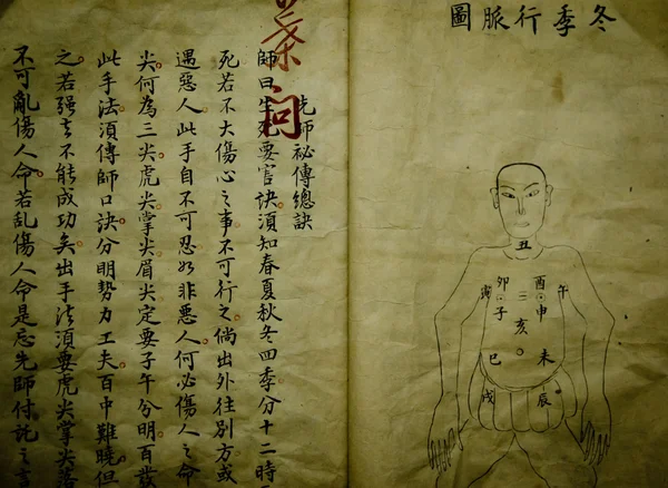 Vecchio libro medico cinese Foto Stock