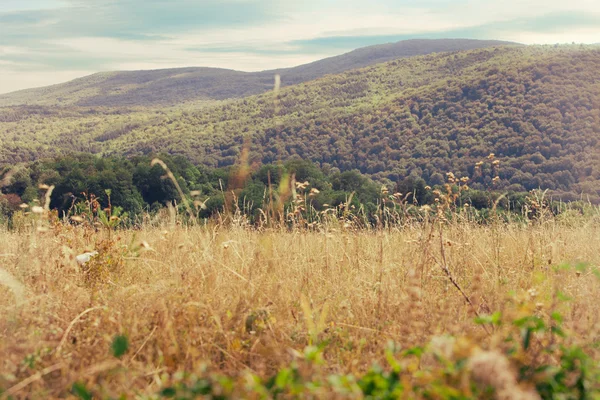 stock image Ozren mountain