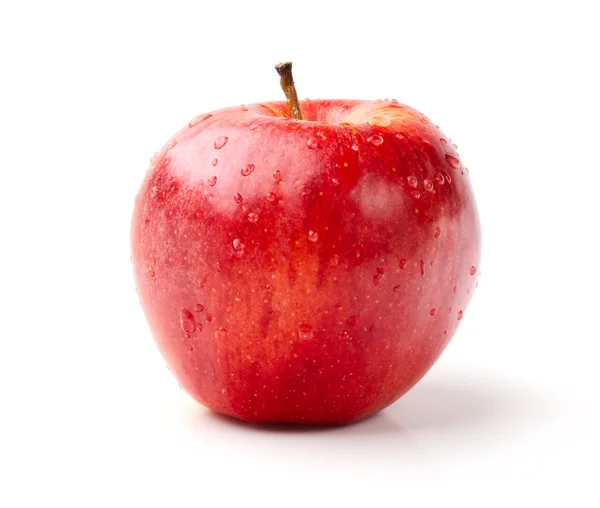 Roter Apfel mit Tautropfen — Stockfoto