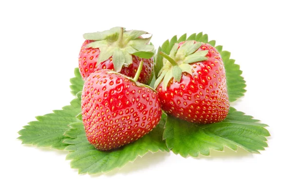 Three Fresh Strawberries with Leaves — Stock Photo, Image