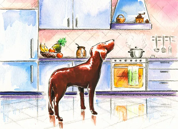 Kahverengi köpek — Stok fotoğraf