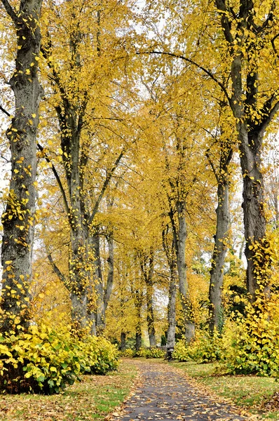 Pathway in autumn — Stock Photo, Image