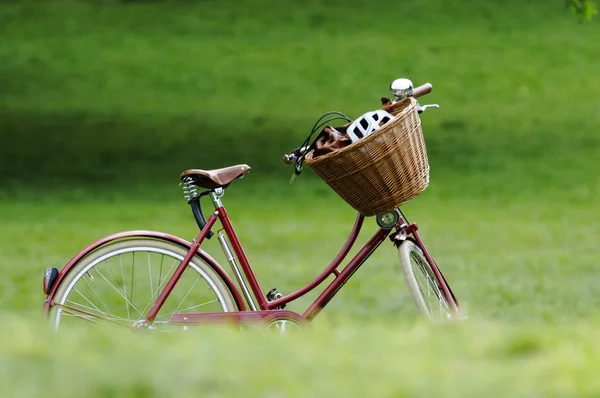 Bicicletta rossa — Foto Stock