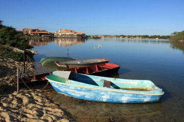 Barques amarrées sur un lac