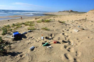 Déchets sur une plage