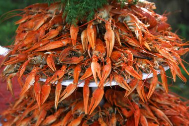 A pile of fresh boiled crayfish with green dill stacked on a pla clipart