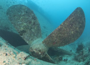 Propeller on a shipwreck clipart