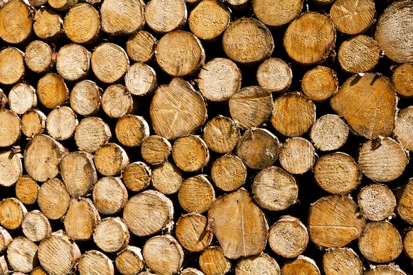 Stock image Pile of logs