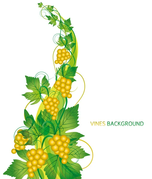 Vindruvor — Stock vektor