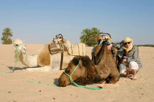 Mladá žena s velbloudy v sahara — Stock fotografie