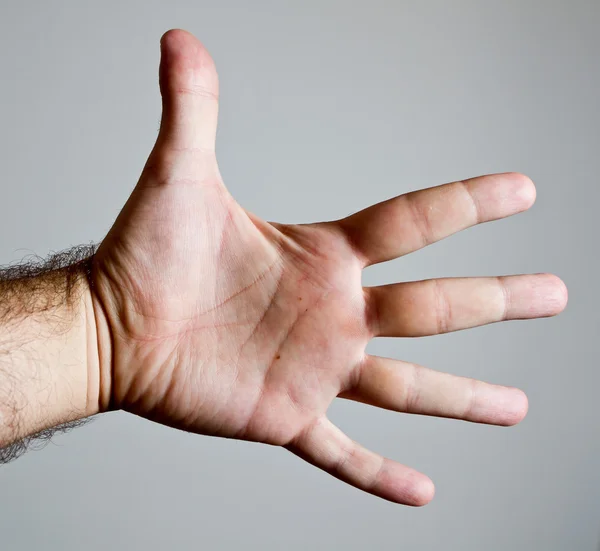 Mão masculina aberta mostrando palma e dedos abertos — Fotografia de Stock