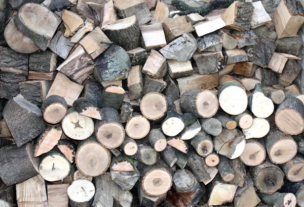 Brennholzstapel. — Stockfoto