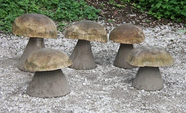 木制蘑菇席位. — 图库照片