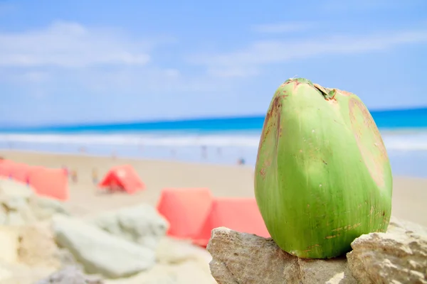 Тропический пляж с кокосом — стоковое фото