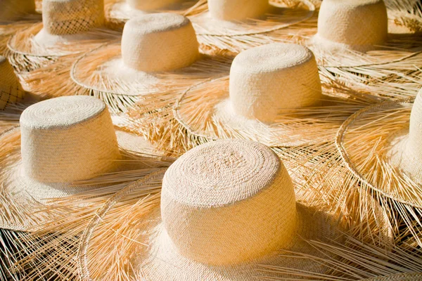 Панамские шляпы — стоковое фото