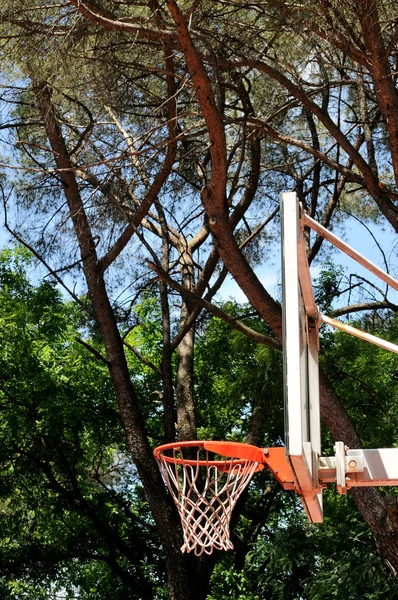 Basket dunk — Stockfoto