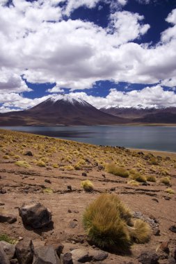 Laguna Miscanti