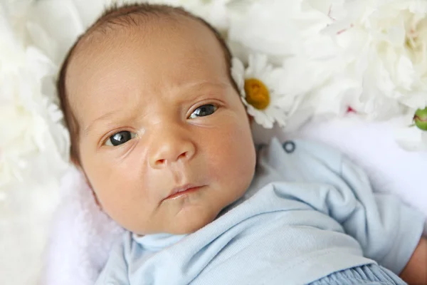 Baby 10 dagar gammal — Stockfoto