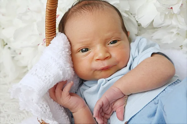 Baby 10 dagen oud — Stockfoto